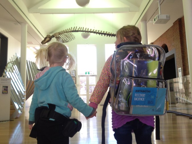 discovery packpack adventure