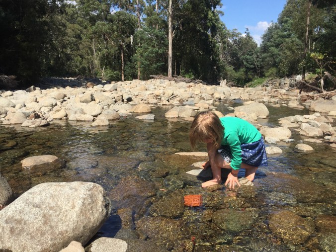 727451F3-2B17-4AE6-8E1E-4EF91B30932D975AA485-091D-45F1-B204-D2A143C58364